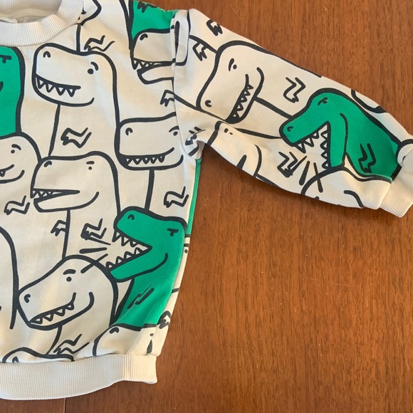 SOLD H&M Dinosaur Print Kids Sweatshirt size 2-4Y - Picture 3 of 7